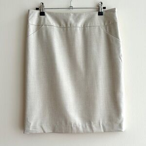 Amanda & Chelsea Pencil Skirt, Contemporary Fit Stretch Skirt, Stone, Size 4 NWT